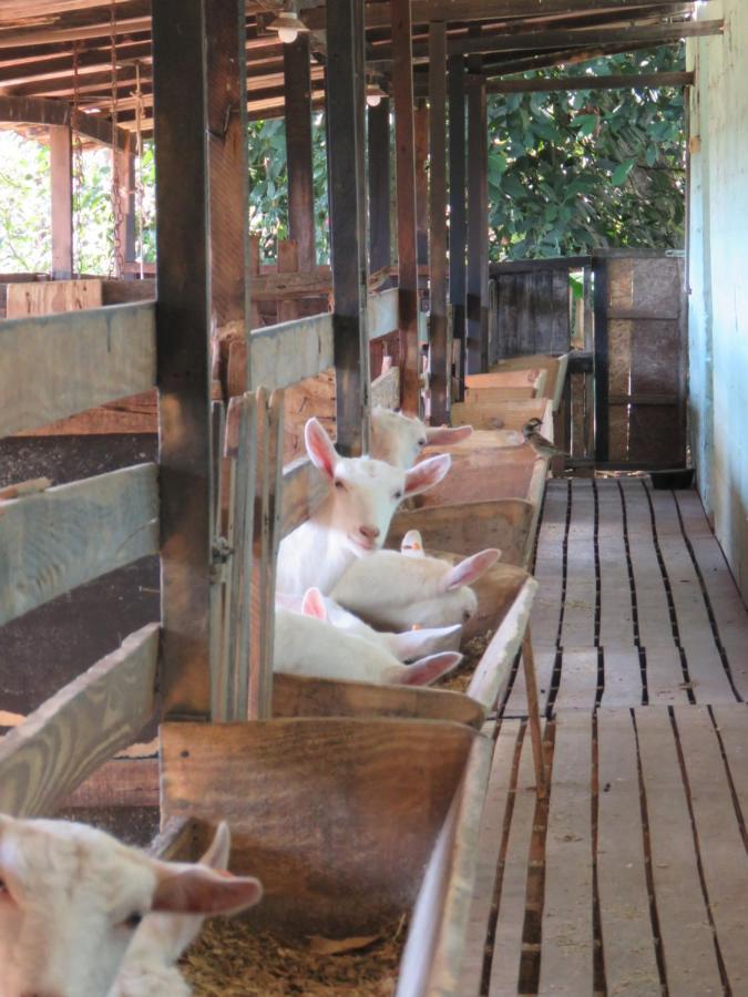 Lagoa Seca Hotel Rural Sao Lourenco  Esterno foto